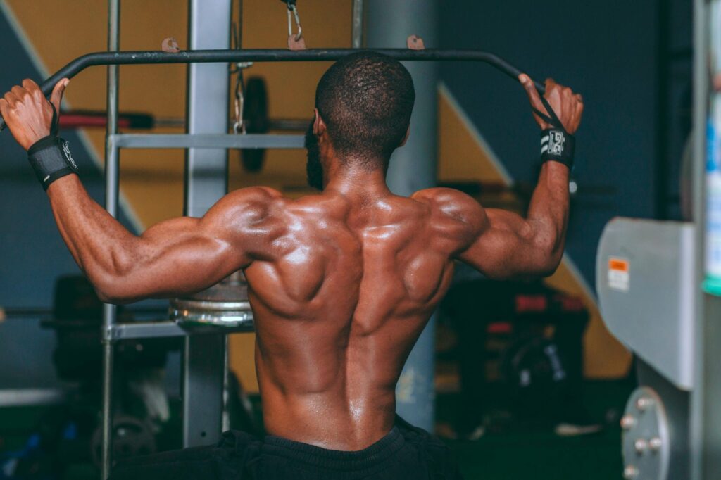 Muscle Building